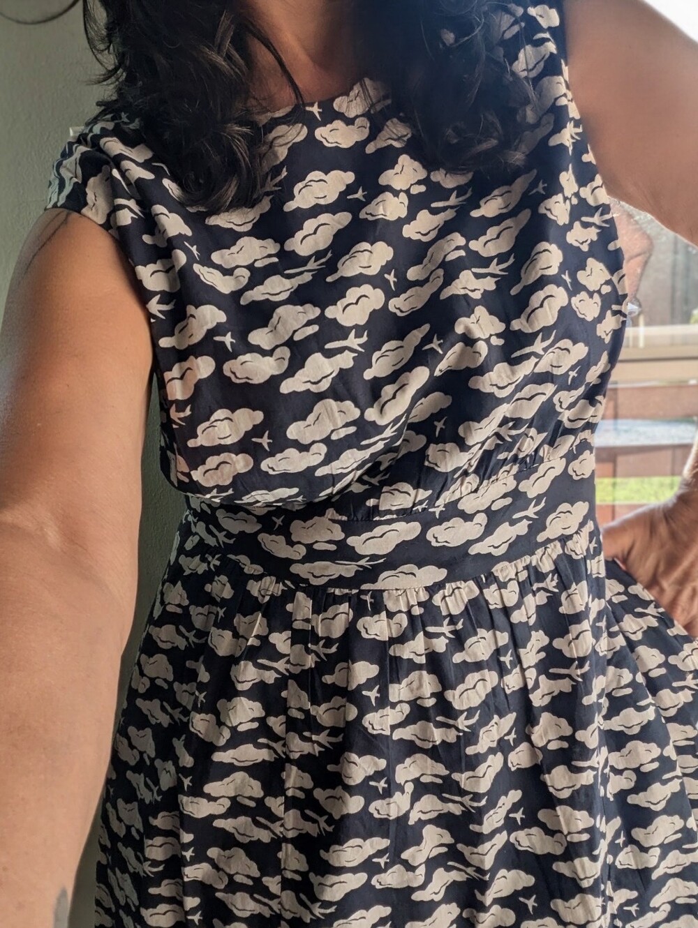 NWT Emily and Fin Lucy Cloud Airplane Dress Size 1X